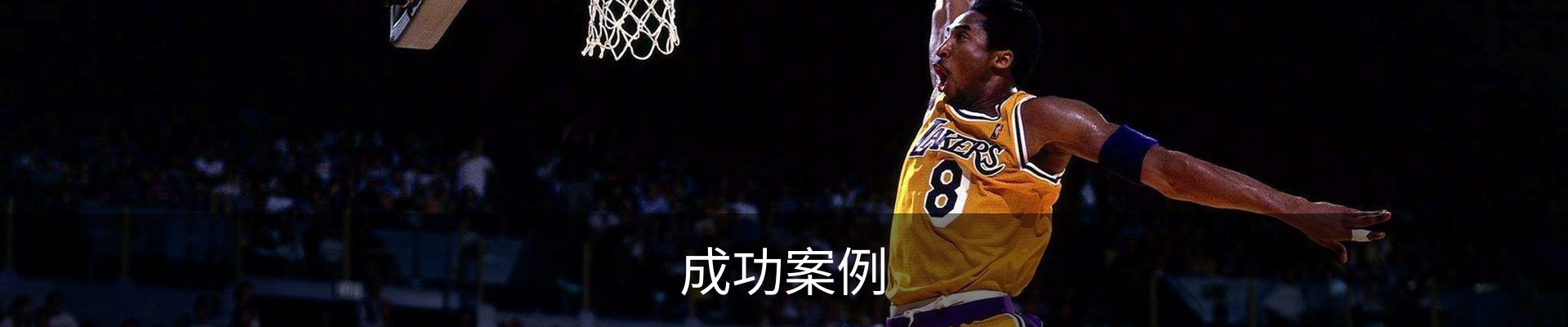 成功案例