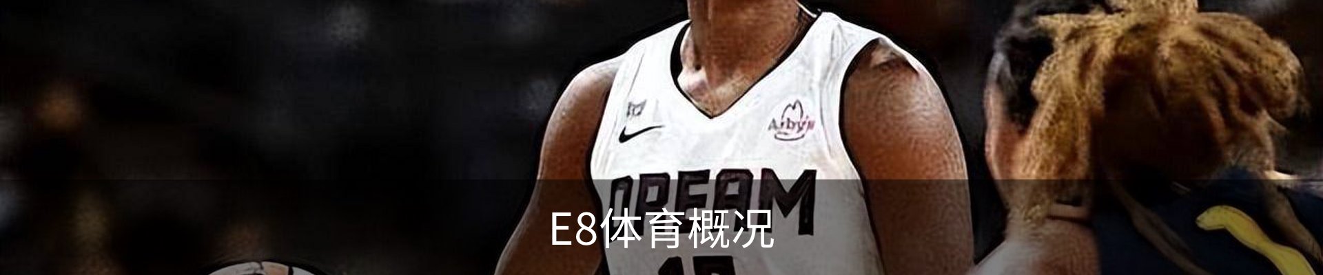 E8体育概况
